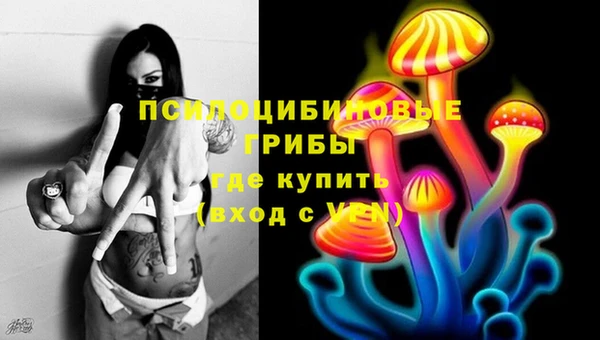 сатива Лихославль