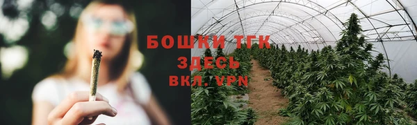 сатива Лихославль