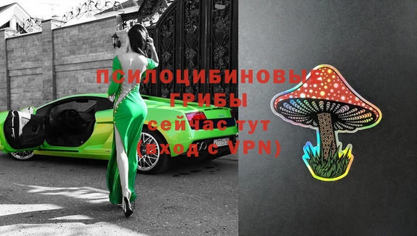 apvp Лиски