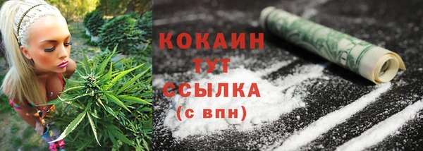 apvp Лиски