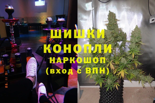 сатива Лихославль