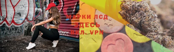 apvp Лиски